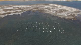 Van Gölü'nün çekilmesiyle asırlık iskelenin ayakları ortaya çıktı