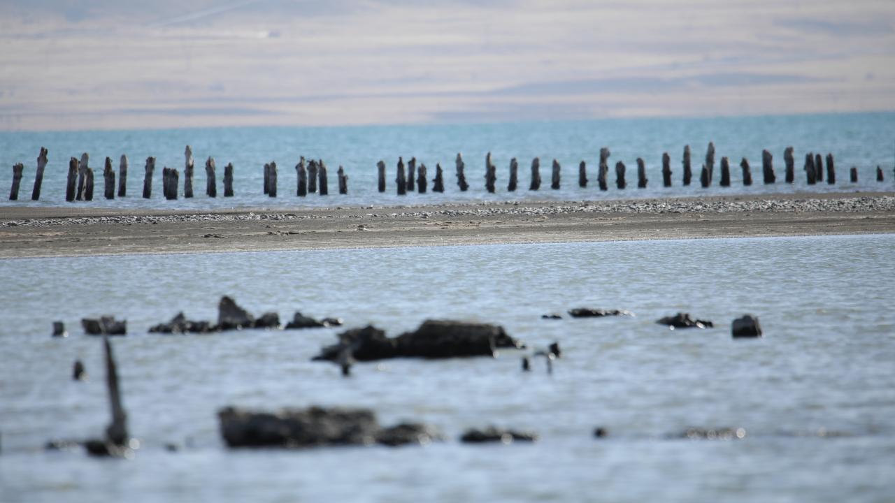 Van Gölü'nün çekilmesiyle asırlık iskelenin ayakları ortaya çıktı