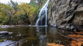 Yunt Dağları'ndaki ağaçlar hazan rengine büründü