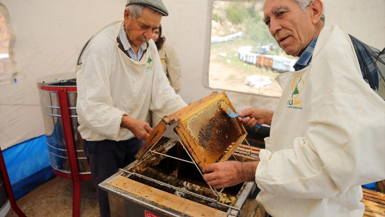 Dede mesleği arıcılığı ailecek sürdürüyorlar