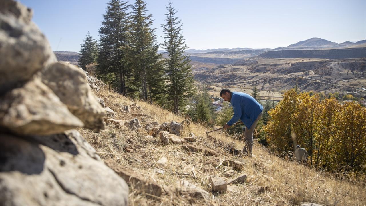Palamutlar Hızan Dağı`nın eteklerine ekiliyor