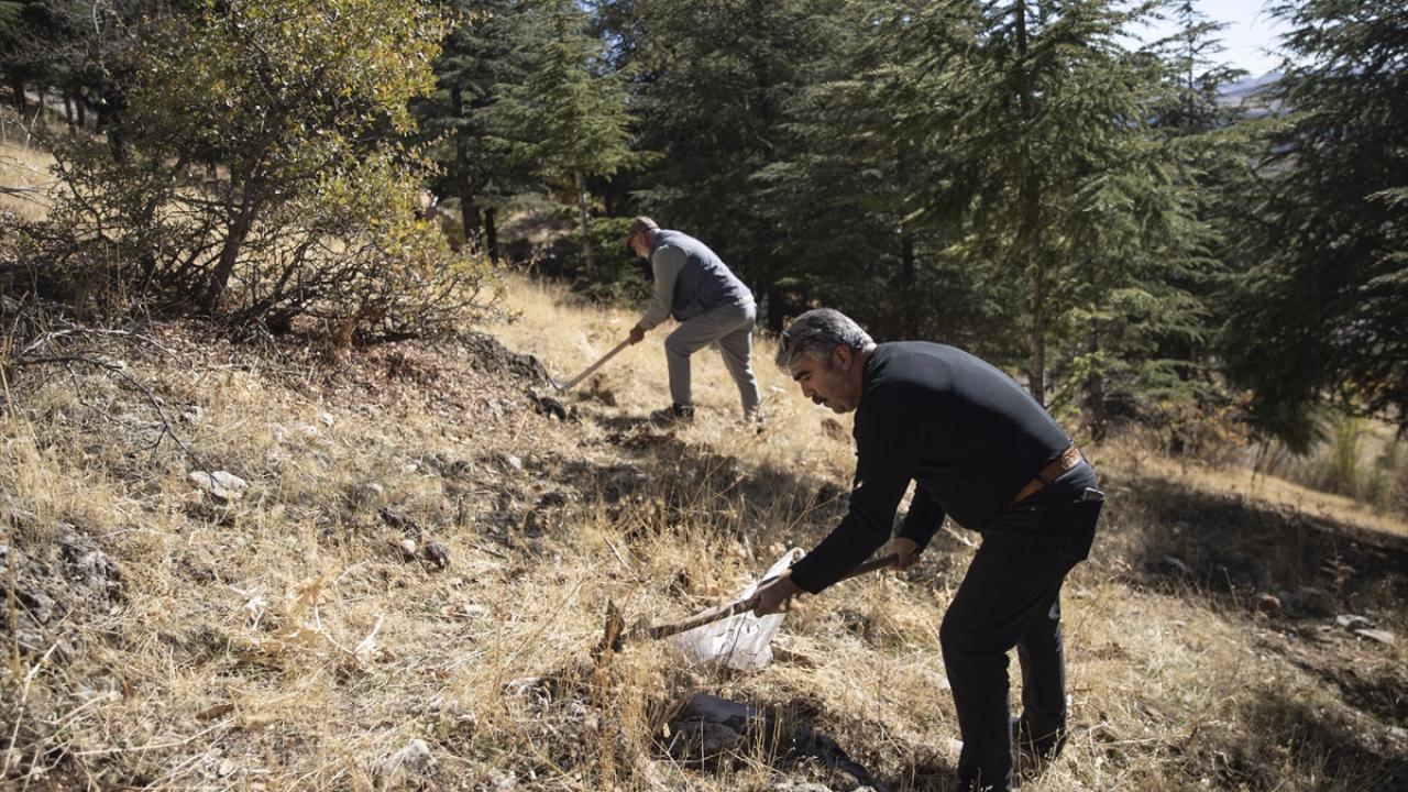 "Doğaya karşı bir aidiyetimiz var"