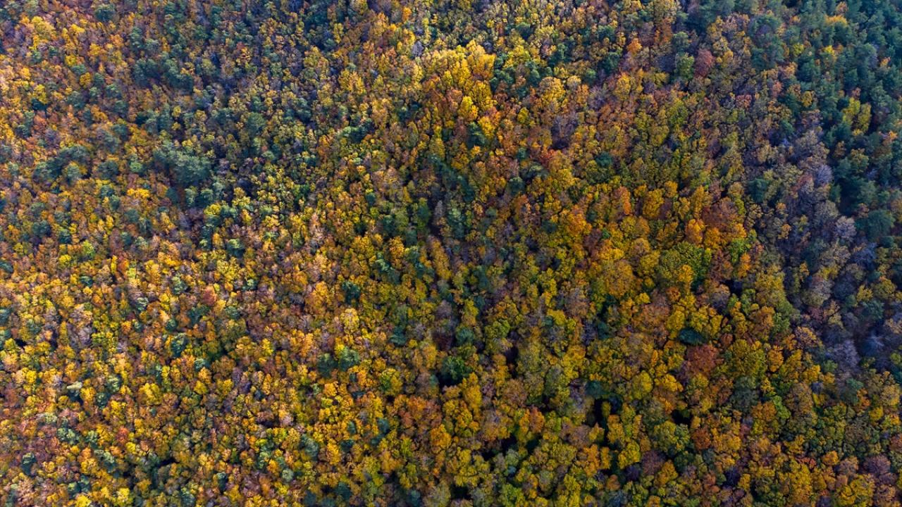 Amasya’nın doğal güzelliği: Boraboy Gölü