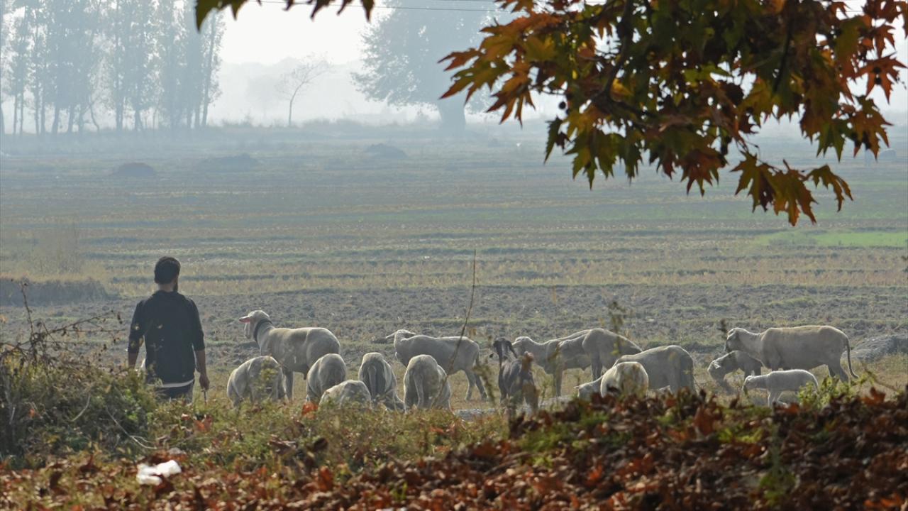 Cammu Keşmir sonbahar renklerine büründü