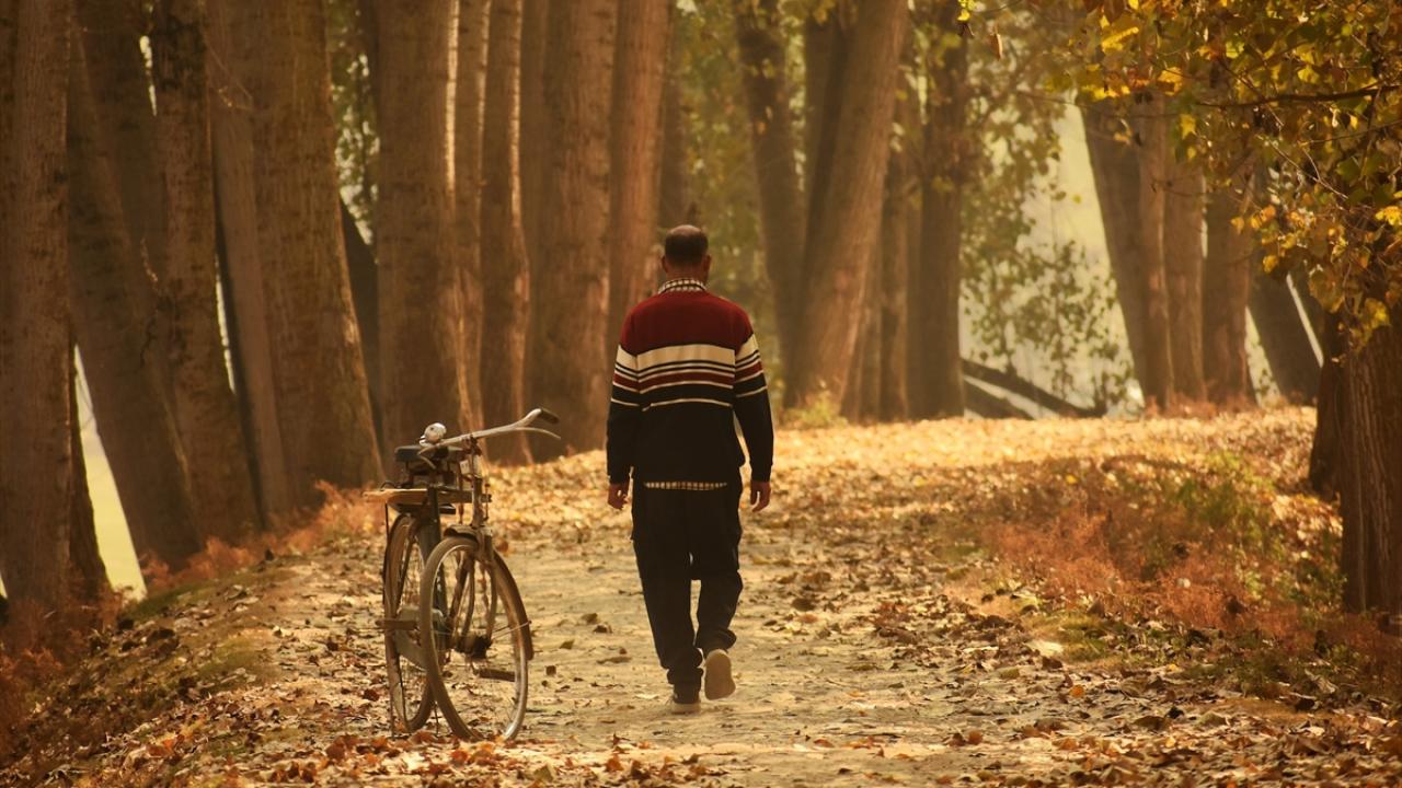 Cammu Keşmir sonbahar renklerine büründü
