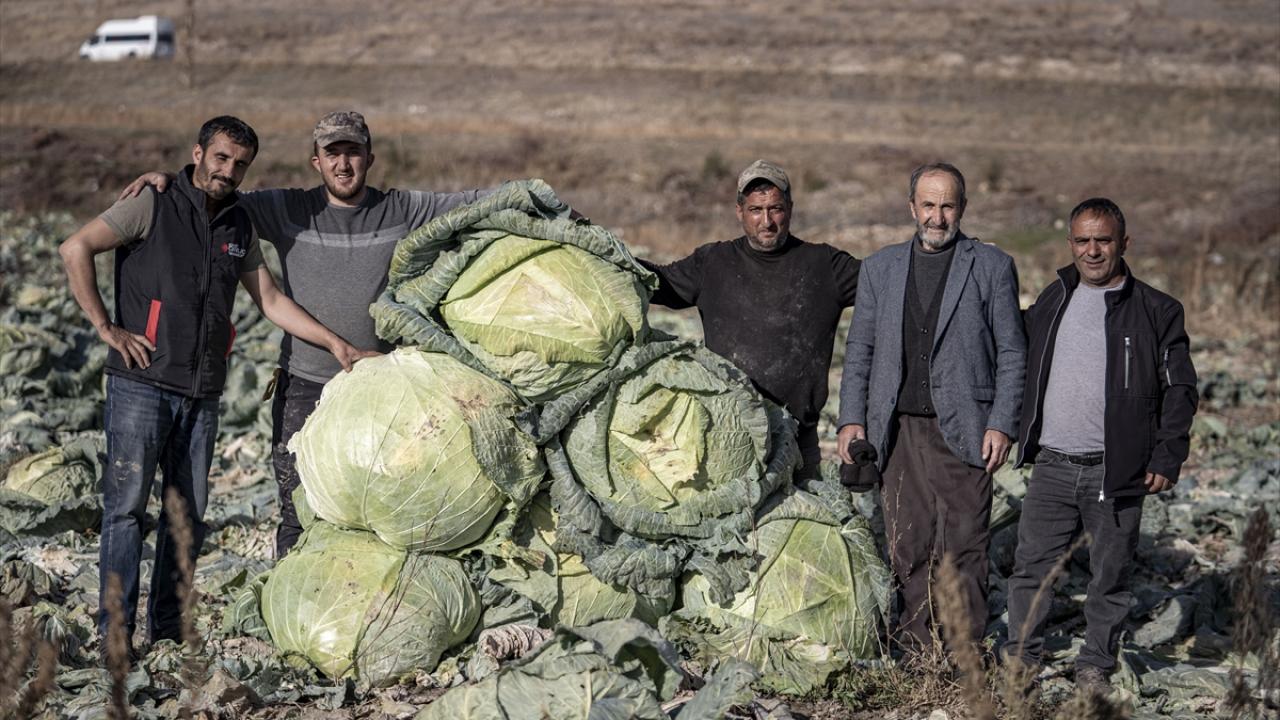 "Ömrüm olursa 100 kilogram üretmeyi hedefliyorum"