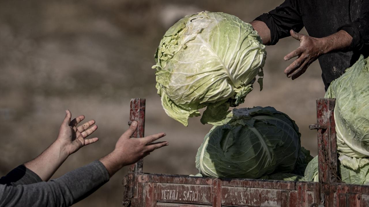 "Dedelerimizin ellerindeki tohumlarla hala üretim yapıyoruz"