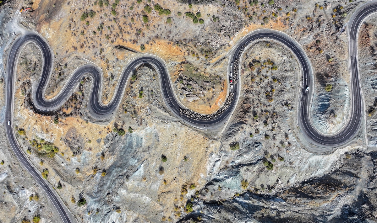Göçerler 3 bin rakımlı yaylalardan kışlaklara dönüyor