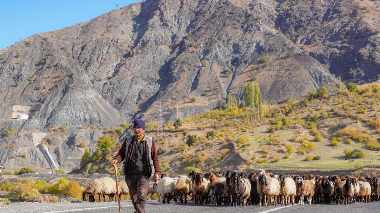 "15 günlük yolumuz daha var"