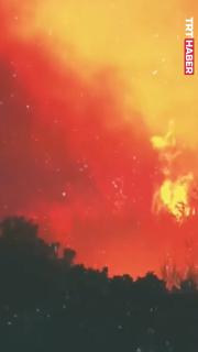 “Bırakamam, burada oturur ateşi geçirmem”