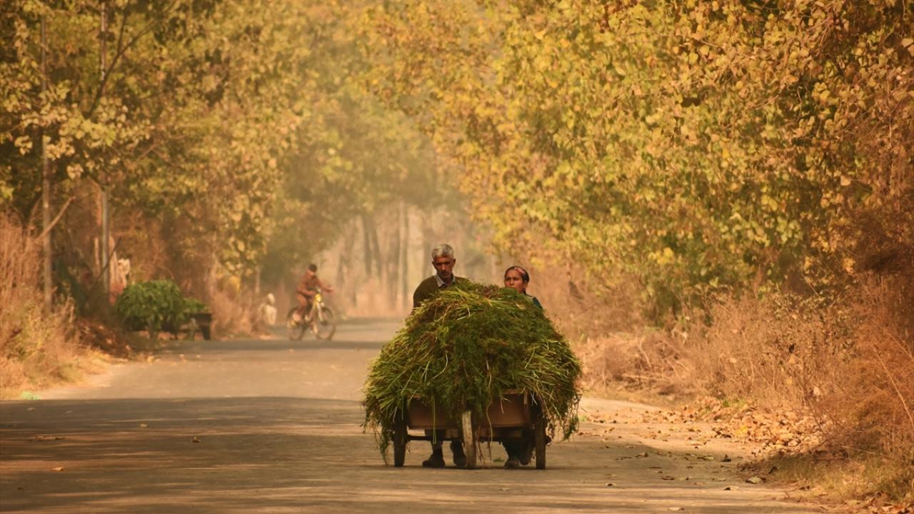 Cammu Keşmir sonbahar renklerine büründü