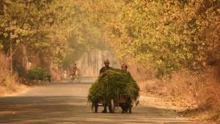 Cammu Keşmir sonbahar renklerine büründü