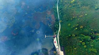 Efteni Gölü Kuş Cenneti'nde sis sonbaharın güzellikleriyle buluştu