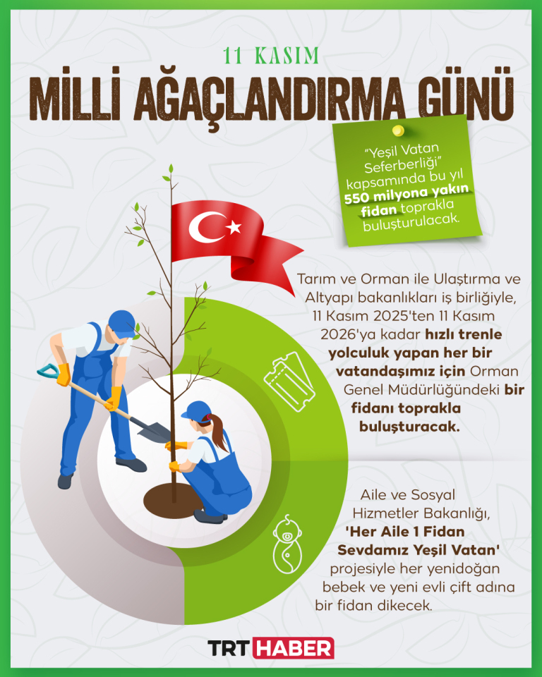 11 Kasım Milli Ağaçlandırma Günü