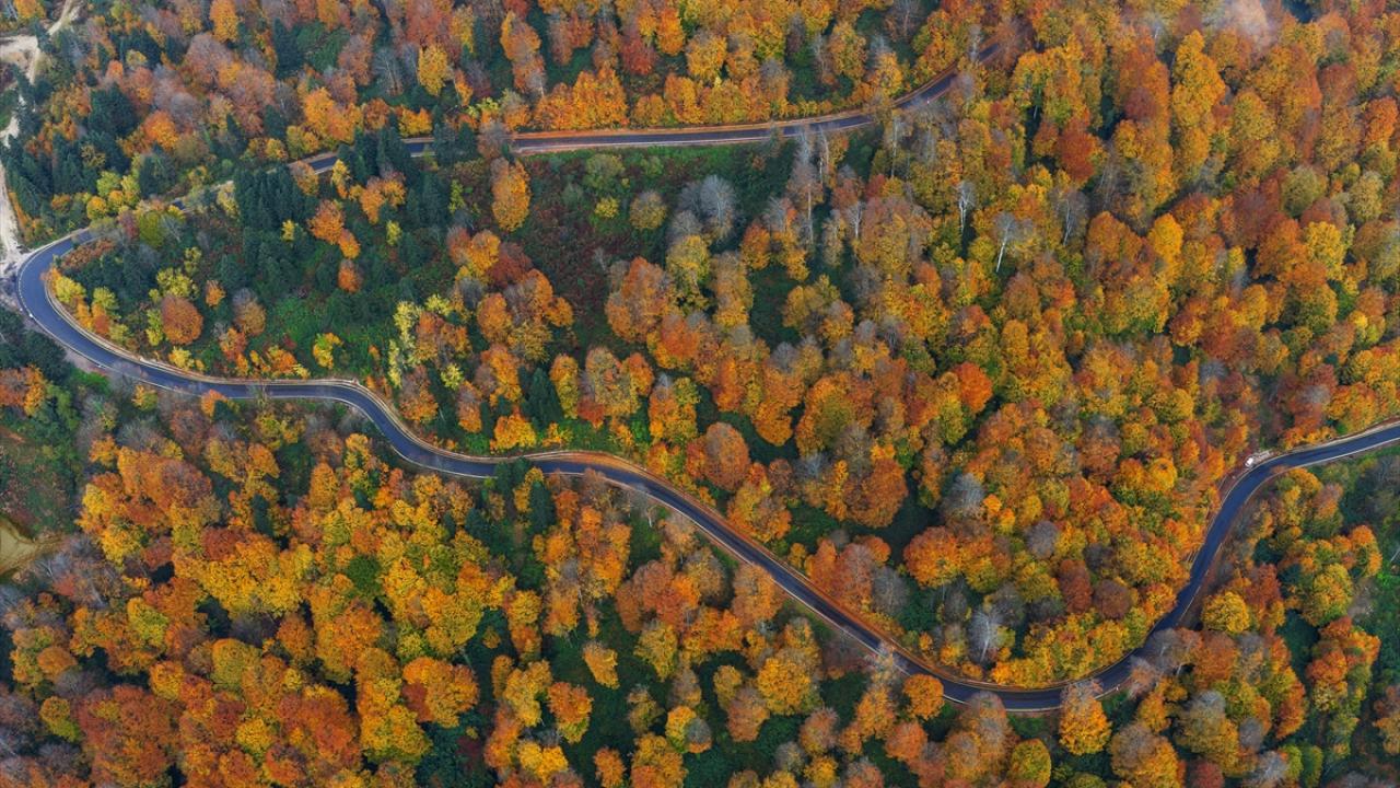 Kartepe’de sonbahar