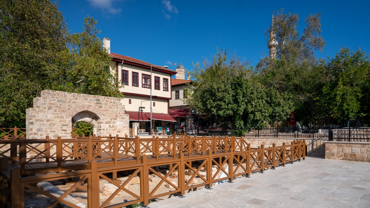 650 yaşında zeytin ağacı açığa çıktı