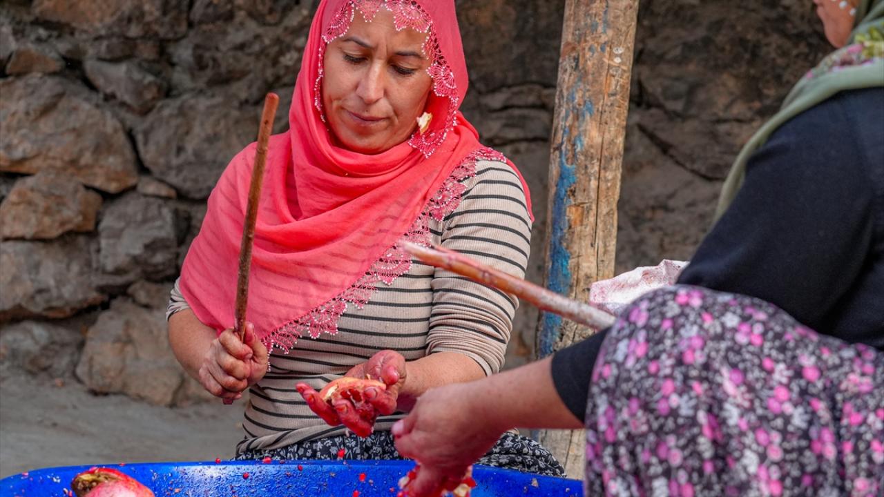 "Geçit narını ve nar ekşisini herkesin tatmasını istiyoruz"