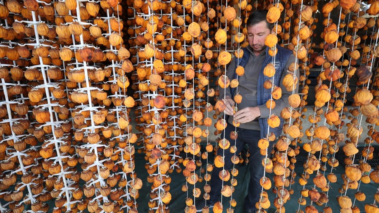 "Günlük yaklaşık 15 kişi çalışıyor"