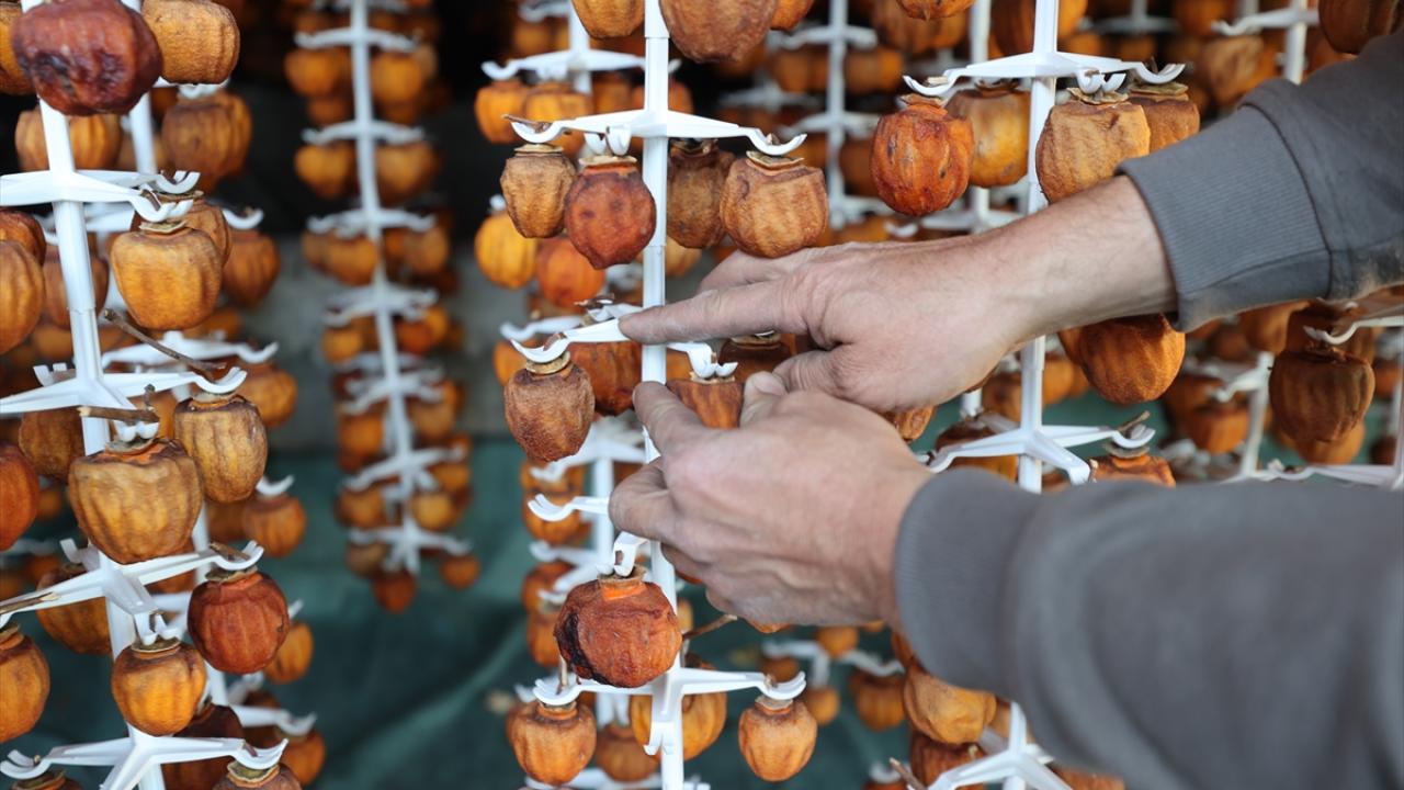Kurutulan hurmalar yurt içi ve dışına pazarlanıyor