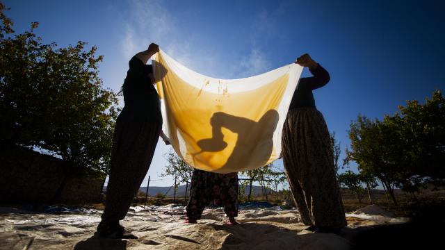 Mardin’de bağ bozumu geleneği sürüyor