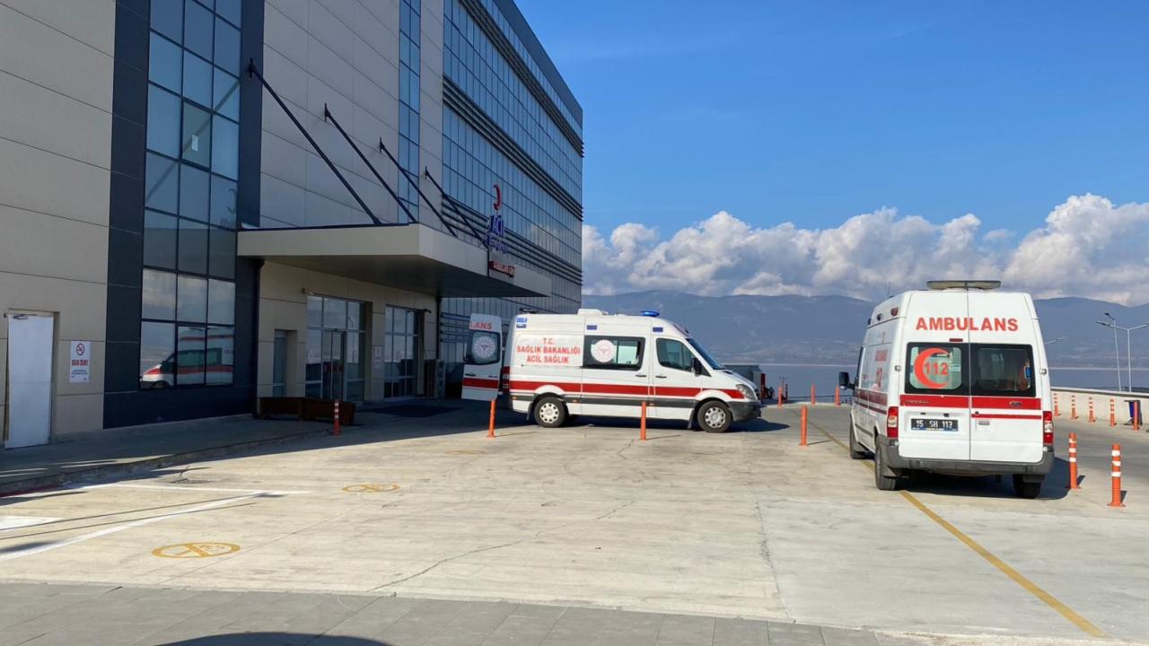 Burdur’da başıboş sokak köpekleri 13 yaşındaki kıza saldırdı