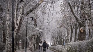 Erzurum'da soğuk hava