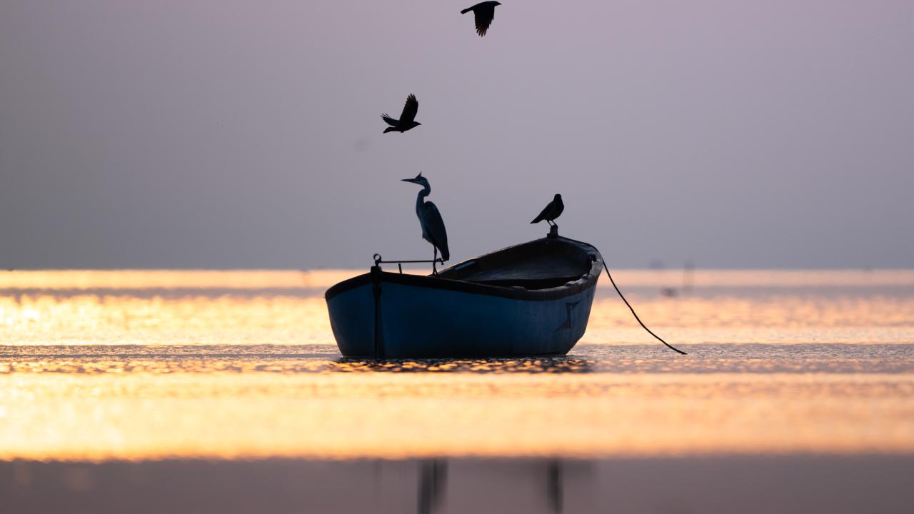 Manyas Kuş Cenneti'nde gün batımı