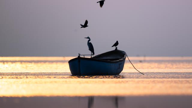 Manyas Kuş Cenneti'nde gün batımı
