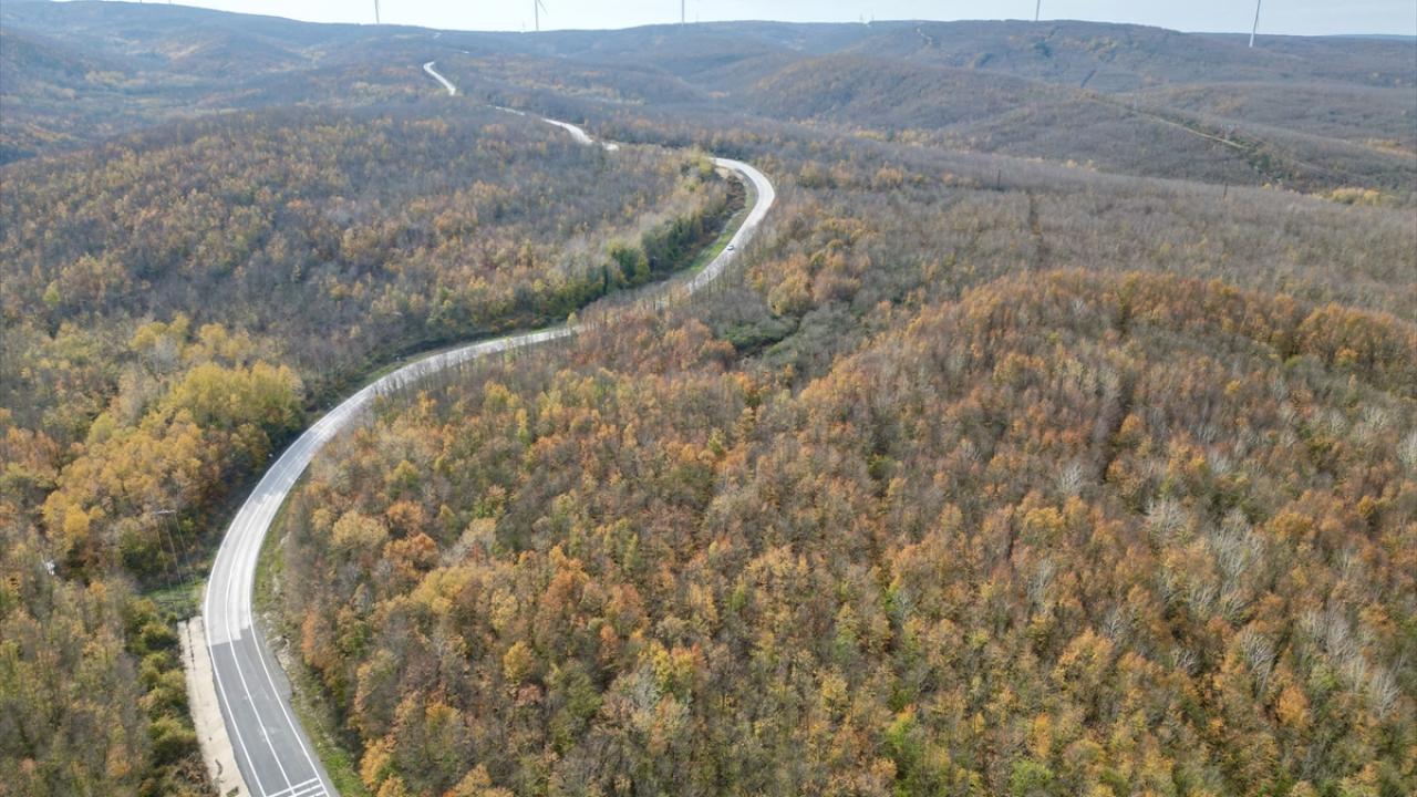 Tekirdağ'da ormanlar sonbahar renklerine büründü