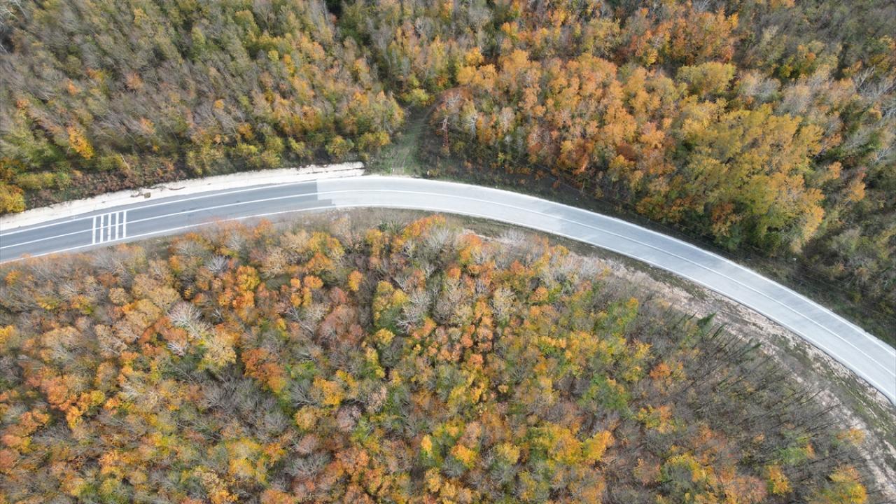 Tekirdağ'da ormanlar sonbahar renklerine büründü