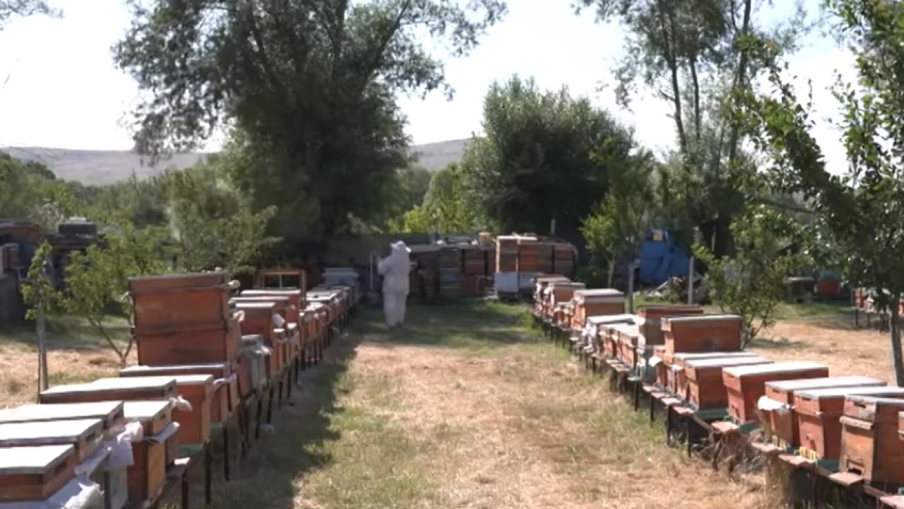 İşte bu benim hikayem 18. Bölüm