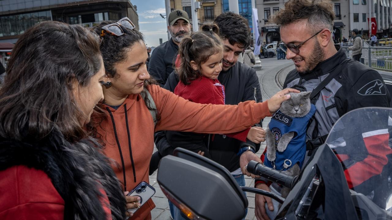 "Bazen bungalov kiralayıp havuzda da yüzüyoruz"