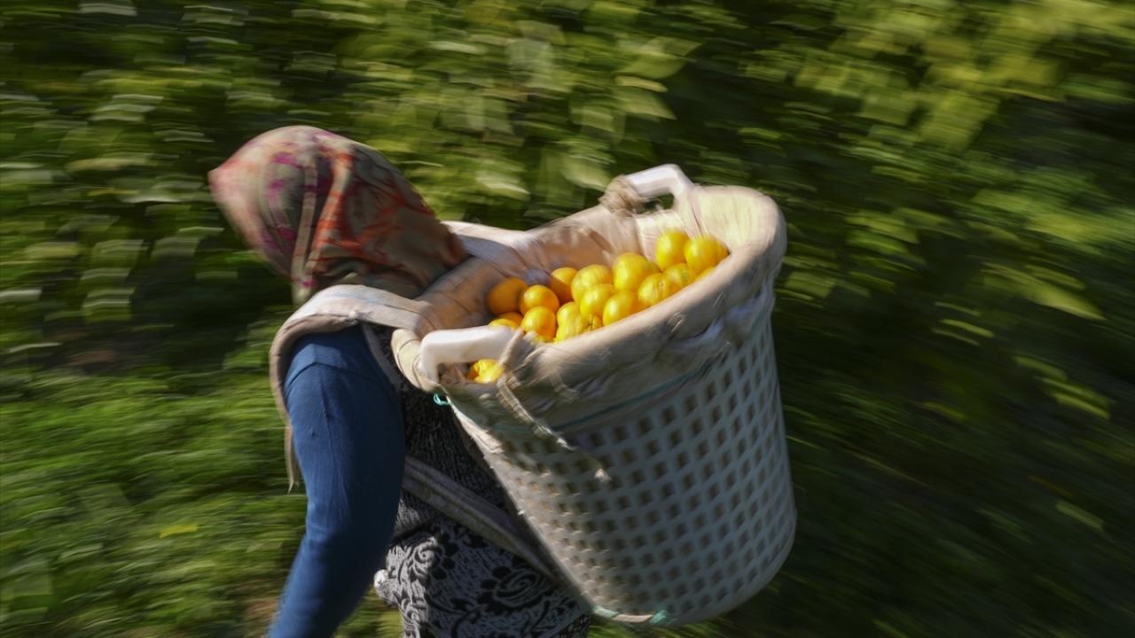 "Üretici ve tüketiciyi memnun edecek"