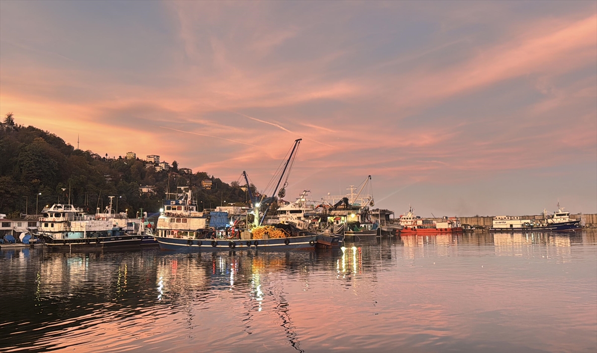 Doğu Karadeniz'de hamsi büyüklüğü ve bolluğuyla yüzleri güldürüyor