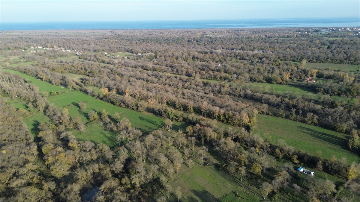Ziyaretçiler göllerde su kuşlarını gözlemleyebilecek