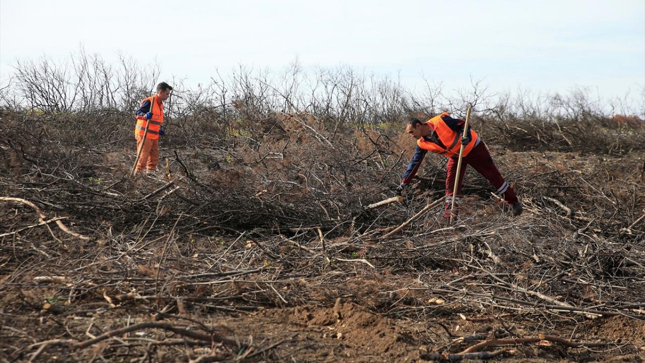 "Alev savaşçıları" bu kez fidan dikimi için sahada