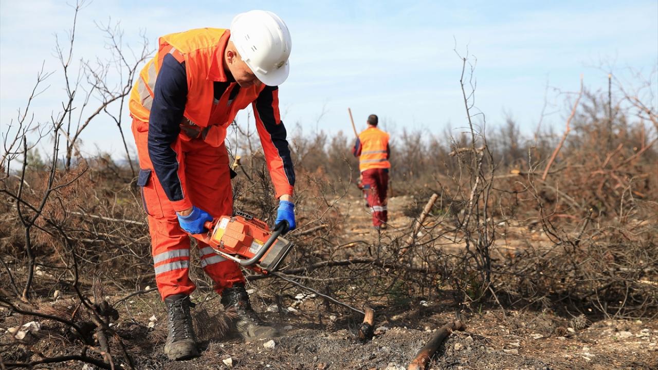 "Alev savaşçıları" bu kez fidan dikimi için sahada