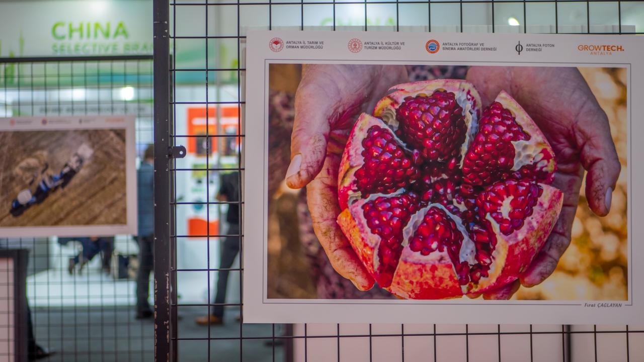 Antalya tarımı fotoğraf karelerinde
