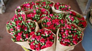 Çiçek ihracatında çeşitlilik arttı