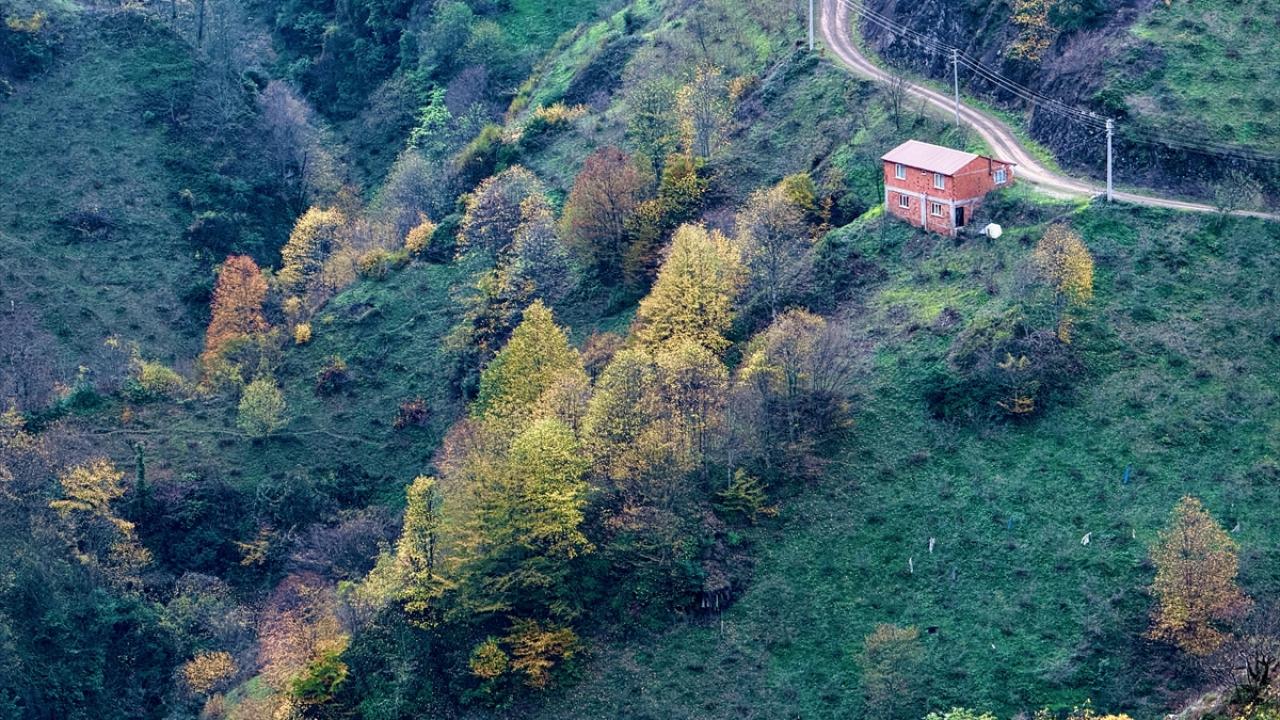 Düzce sonbahar renklerine büründü