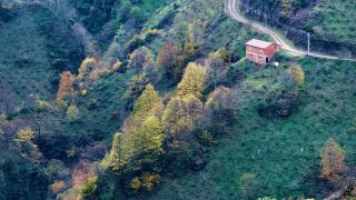 Düzce sonbahar renklerine büründü