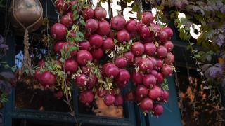 Havraman sonbahar renklerine büründü