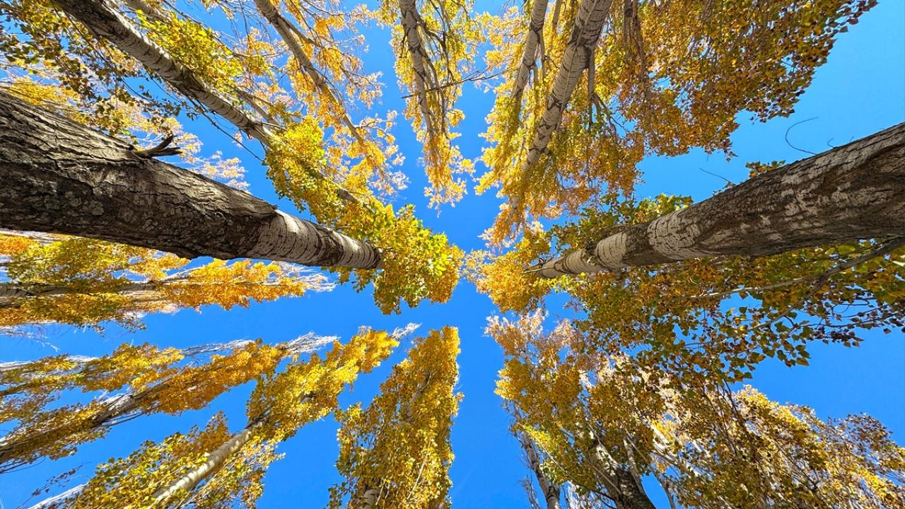 Hazar Gölü'nün çevresi sonbahar renklerine büründü