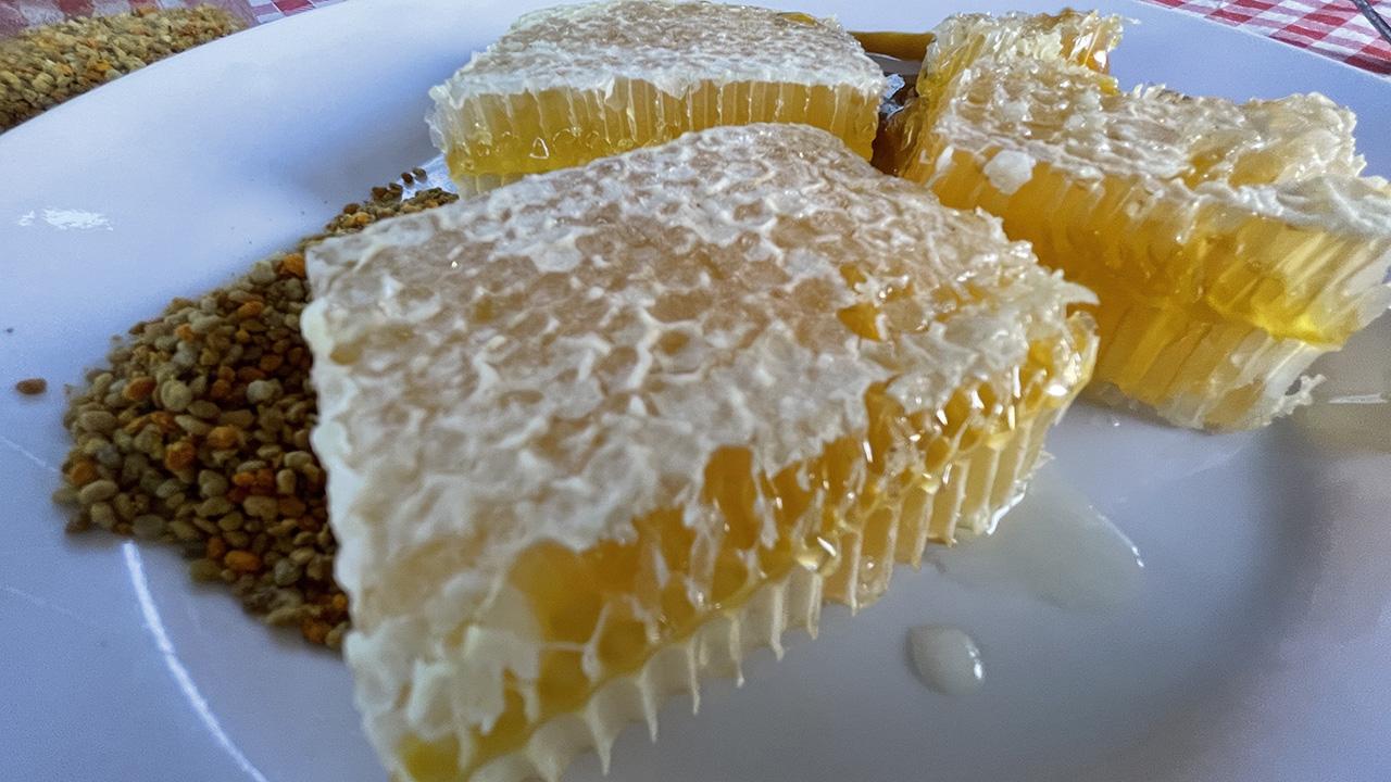 Türkiyenin AB tescilli coğrafi işaret sayısı 43e yükseldi