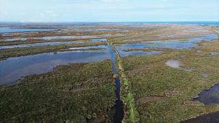 Samsun Kızılırmak Deltası'nda suları çekilen göller sonbahar yağışlarıyla canlandı
