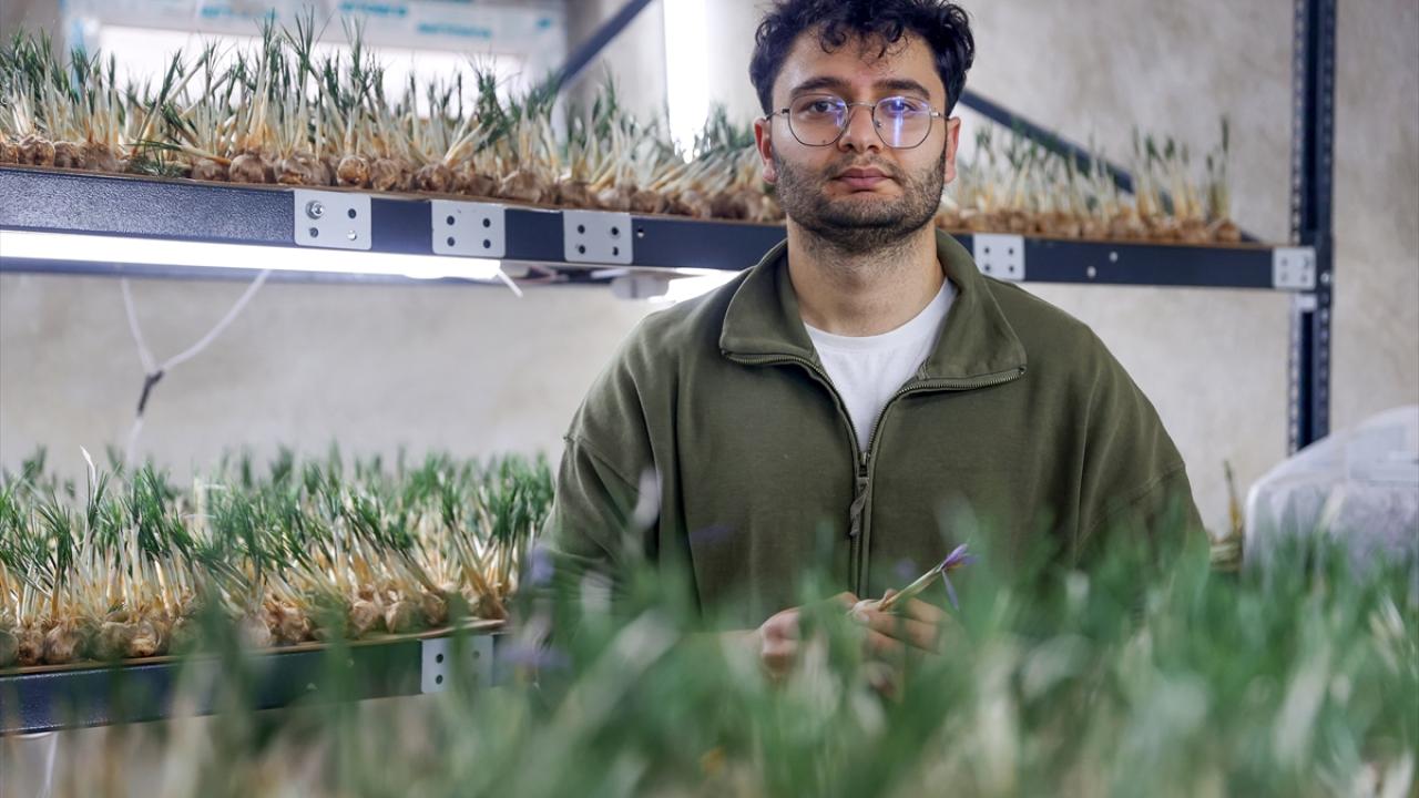 "Arazide yapmak isteseydik 1000 metrekare alana ihtiyacımız olacaktı"