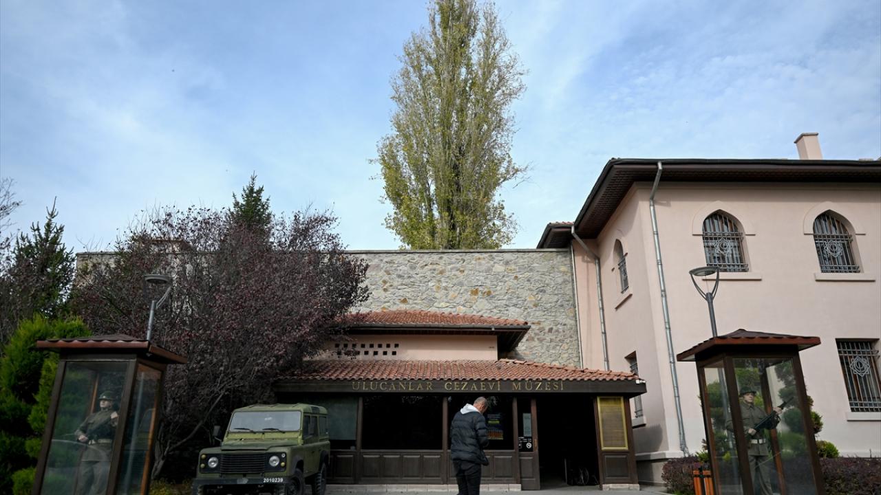 "Bu ağacın ağladığını söylerler"