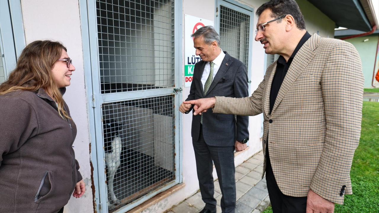 "Burası tam anlamıyla yaşam alanı haline gelecek"