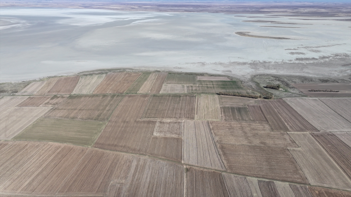 Tamamen kuruyan Seyfe Gölü Kuş Cenneti sessizliğe büründü