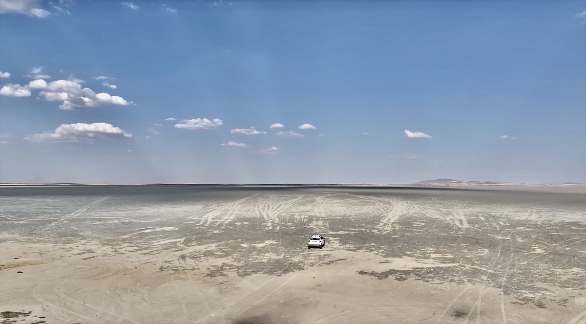 1985`ten beri yüzde 94 daralma yaşandı